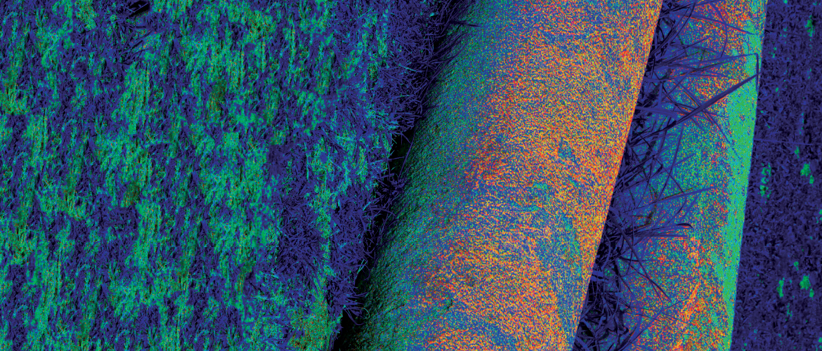 Exposition collective "Le vert sur l’arcade"