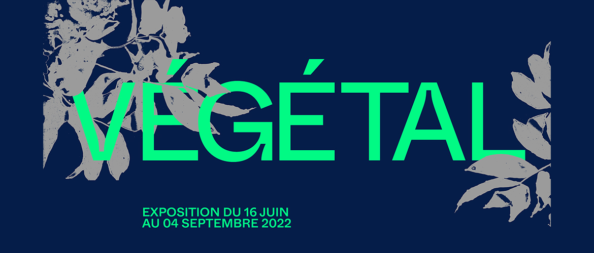 Végétal