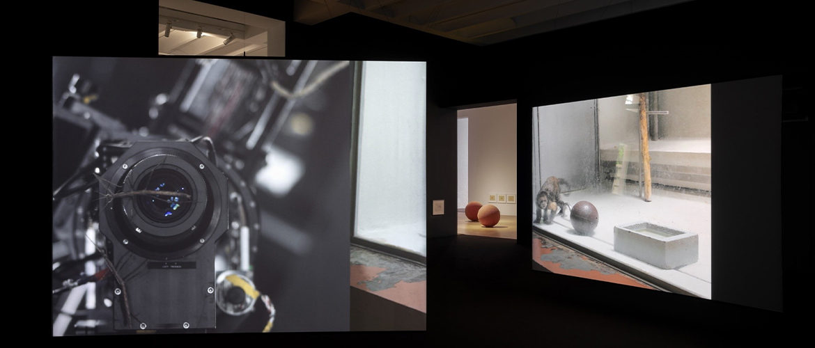 Soutenance de thèse d’Etienne Chambaud (SACRe-Beaux-Arts de Paris)