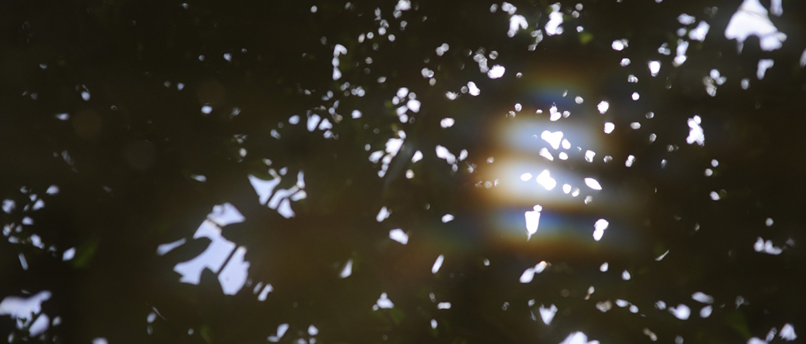 (((écho écho))) Exposition sonore in situ