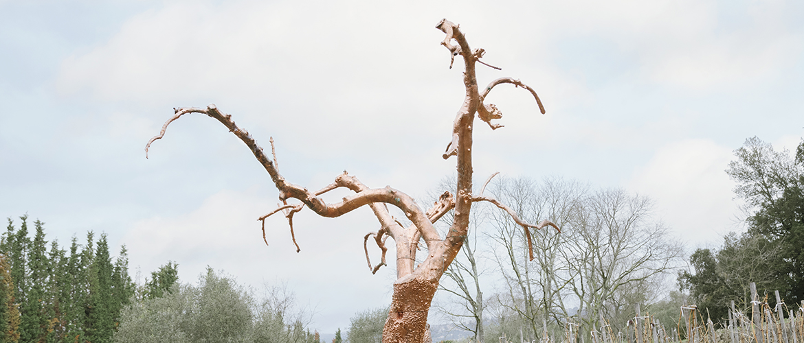 Alessandro di Lorenzo lauréat de la 3e édition du Prix de la Colle Noire