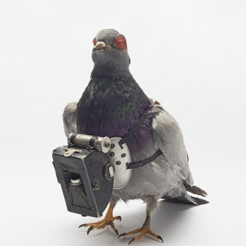 Table ronde - Revue Transbordeur